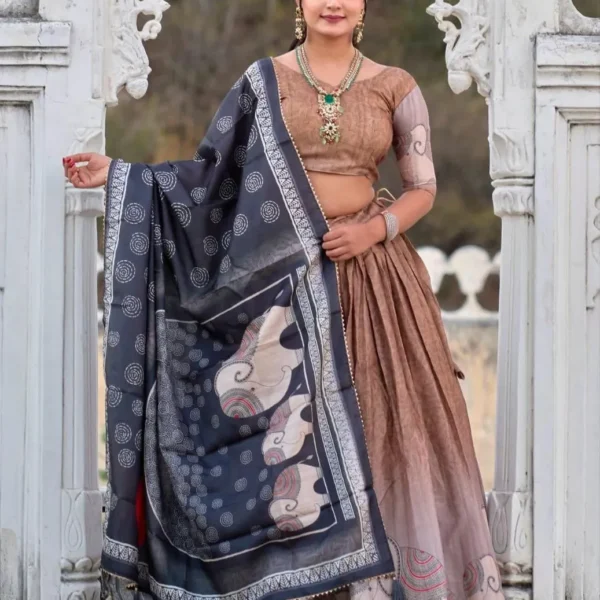 Dola Silk Lehenga